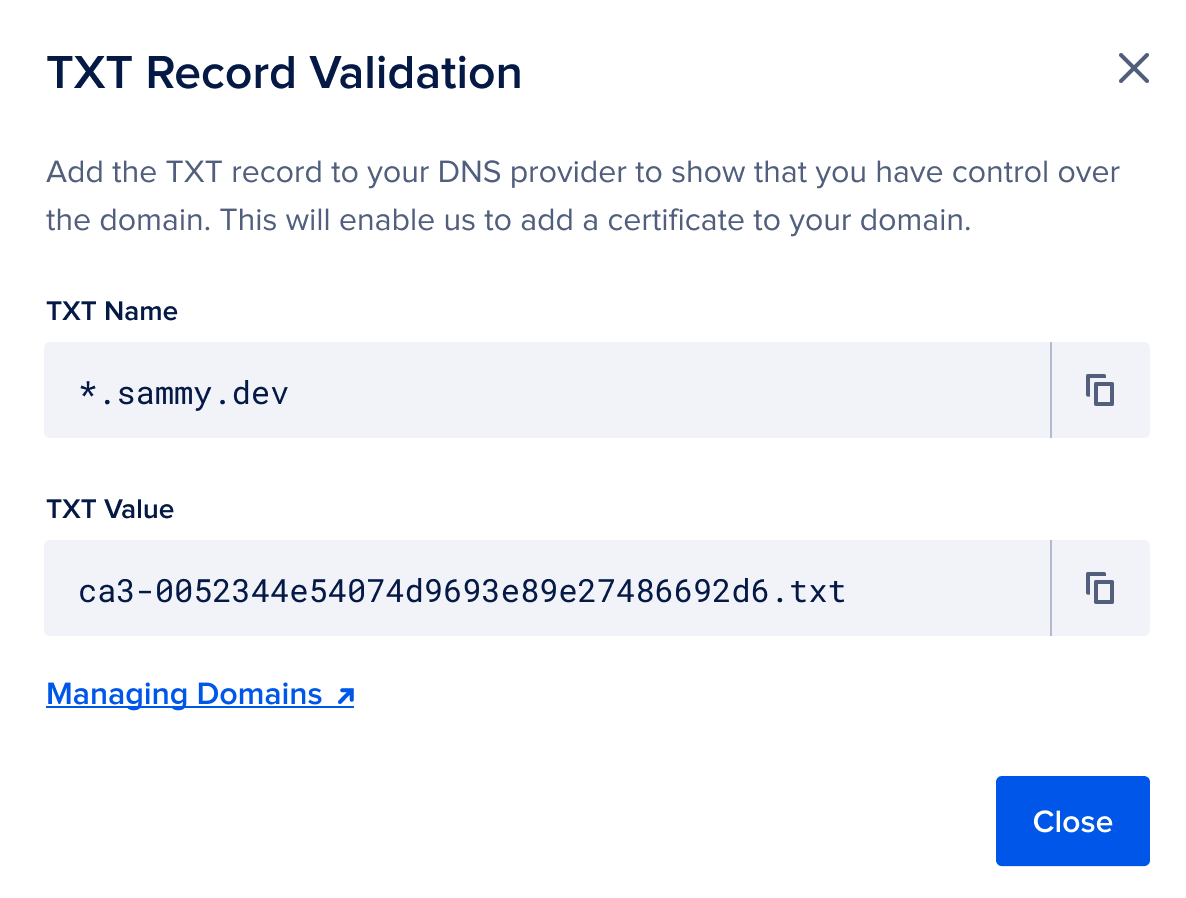 TXT validation instructions