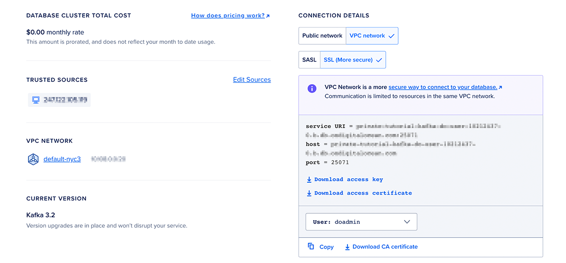 Databases Overview screen showing connection string