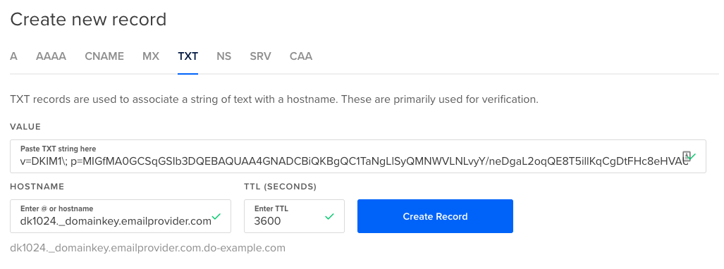 TXT record with SPF information entered