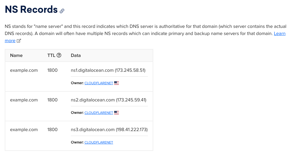 A screenshot of the DigitalOcean DNS Lookup tool showing the NS Records for example.com