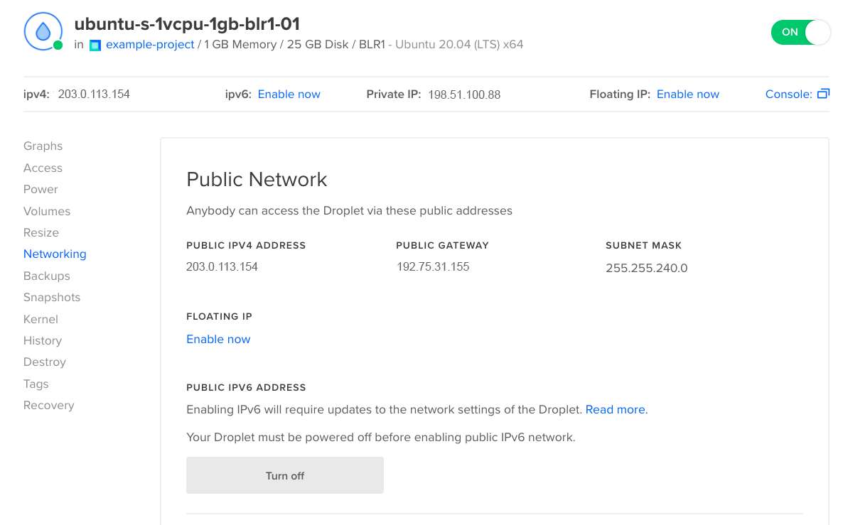 Droplet network information in DigitalOcean Control Panel