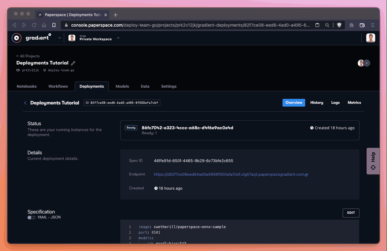 visit <endpoint>/healthcheck to read the status of the model serving computer