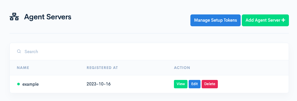 screenshot of the Agent Servers dashboard page, showing a list of 1 server, with columns of name, registered date, and action buttons to view, edit, and delete