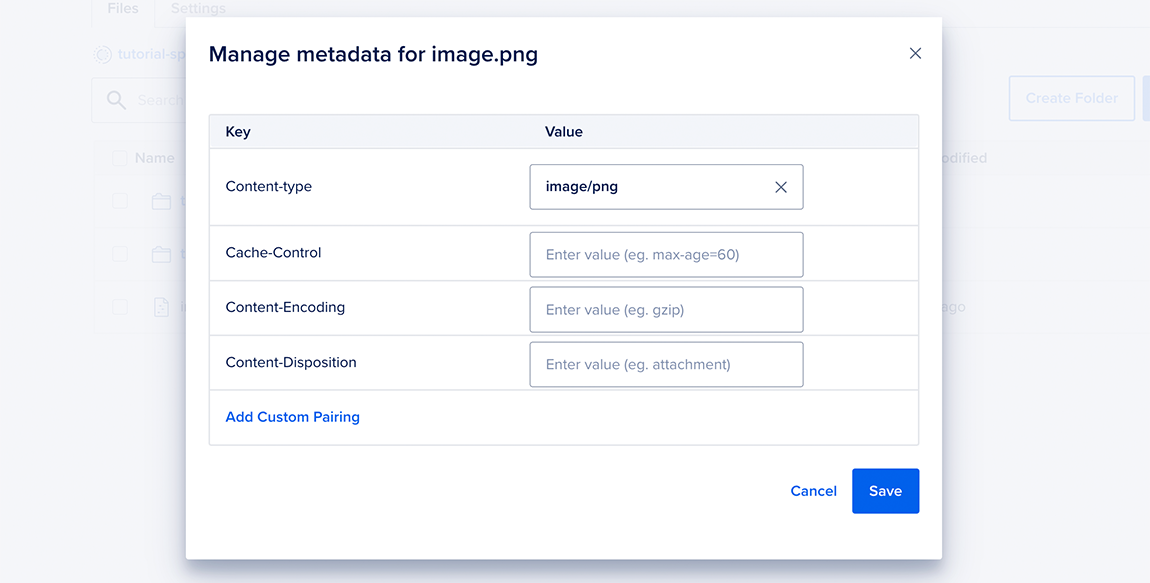 The metadata window for a file